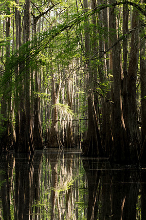 Caddo27Apr 0452