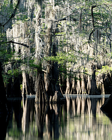Caddo27Apr 0488