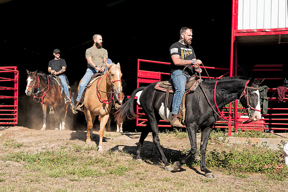 ORW Equine 2