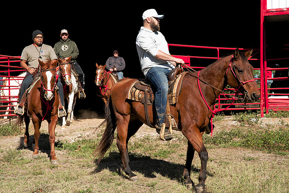 ORW Equine 3