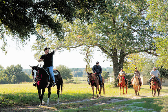 ORW Equine 6