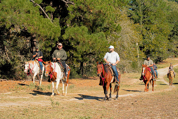 ORW Equine 10