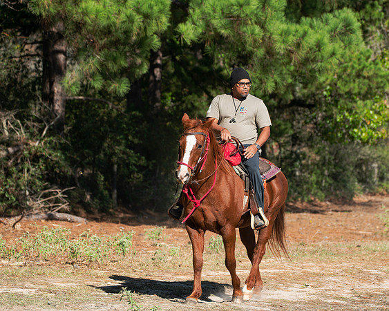 ORW Equine 11