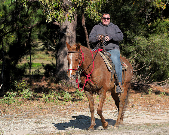 ORW Equine 12