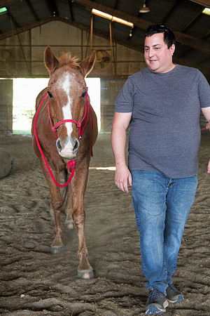 ORW Equine13