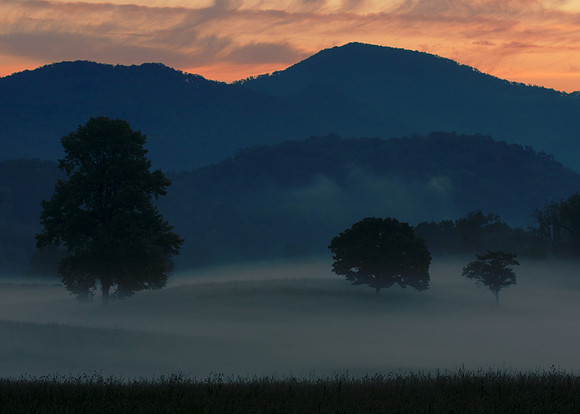 Ground Fog Smokies