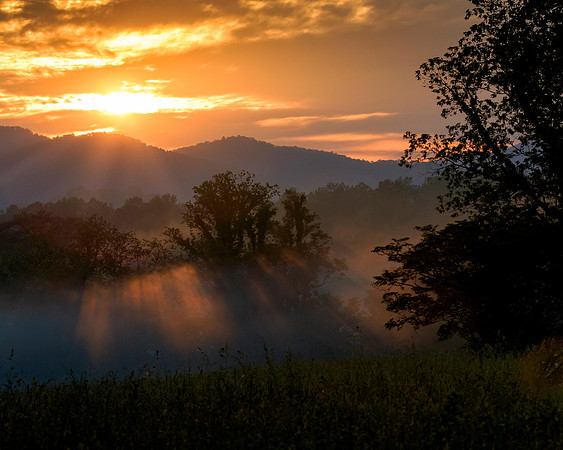 Smokies Foggy Sunrise