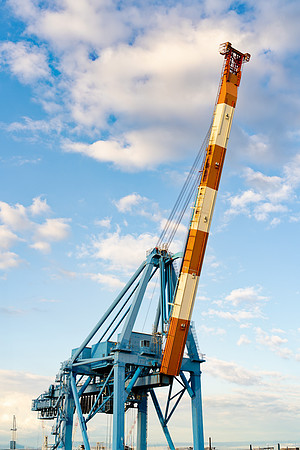 Genoa 8
