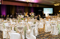 MosaicsGala 8