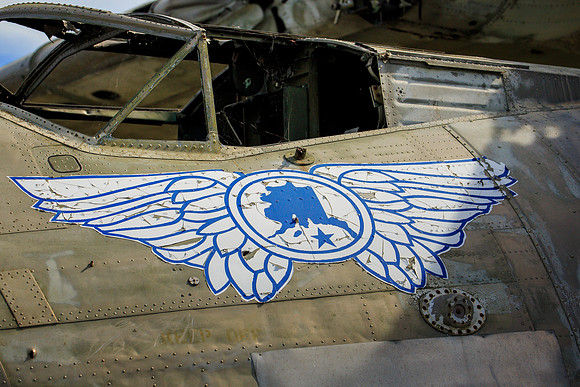 GUARDian Angel