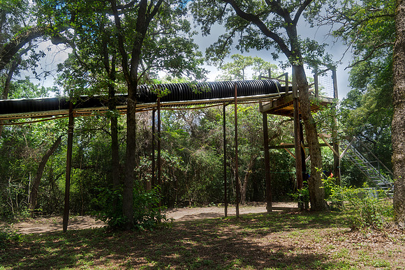 NSTanglewood2026 00695