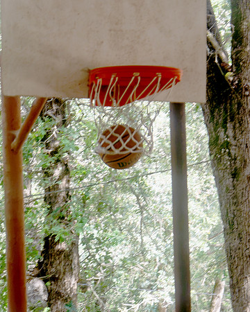 NSTanglewood2026 01425