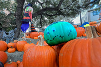 IMG_20261010_085801_015