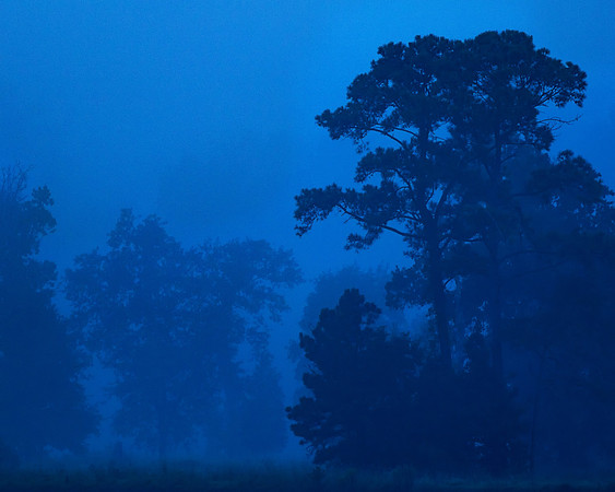 Blue Monday