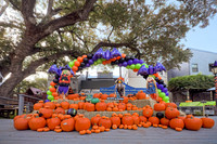 IMG_20261010_093213_022