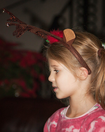 helper reindeer