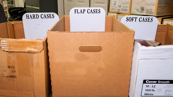 S1 Sort Cases