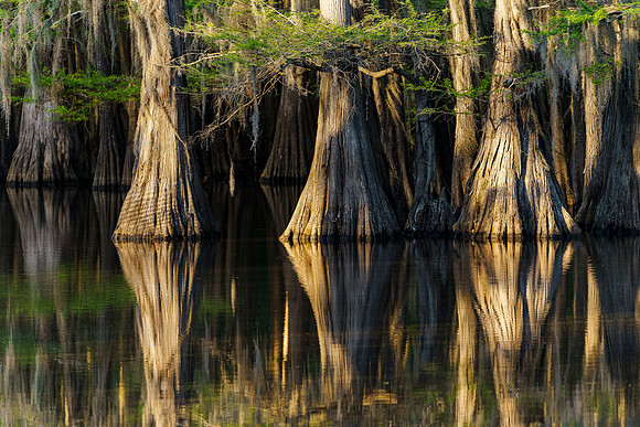 Caddo27Apr 0145