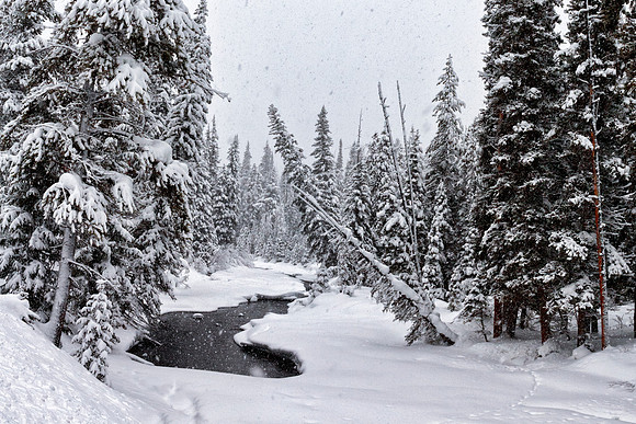 River Runs Through