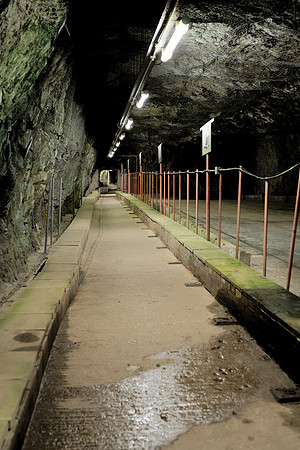 Tunnels and Living Area