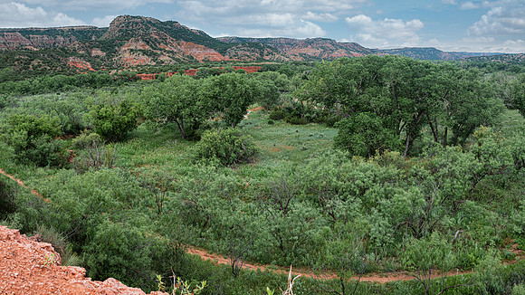 PaloDuro bottom of canyon