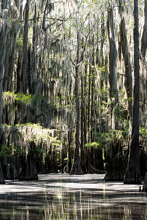 Caddo27Apr 0765