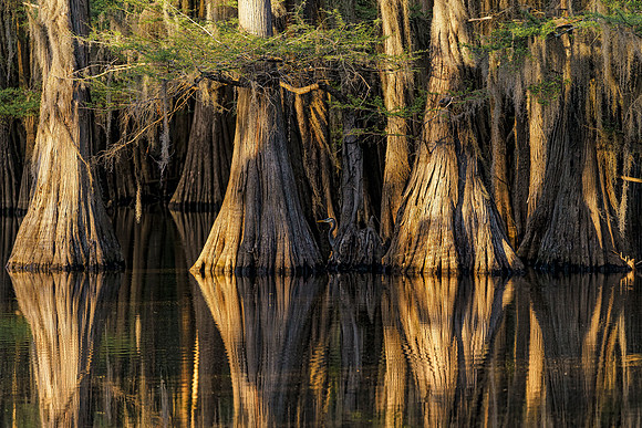 Caddo27Apr 0141