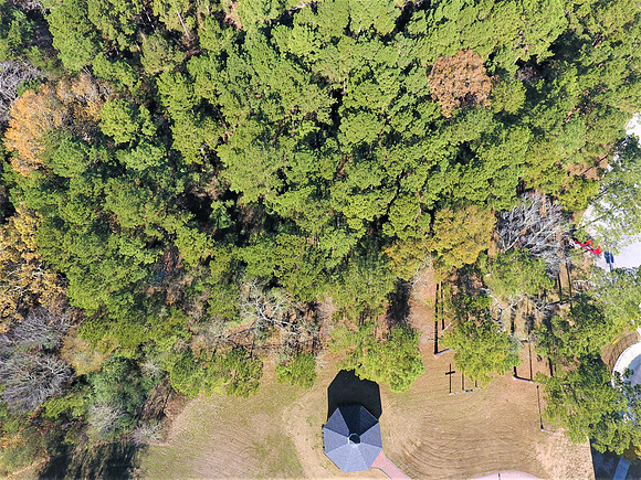 DJI_0006