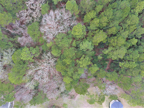 DJI_0009