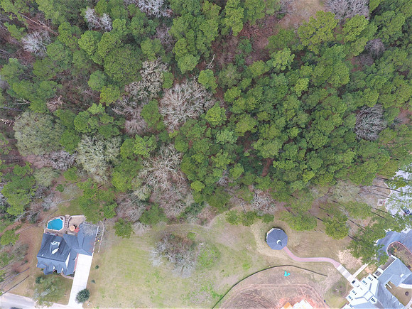DJI_0008