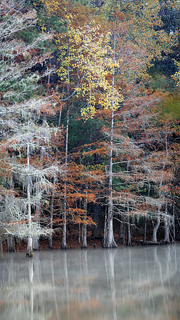 Fall in the Big Thicket 2 xtrasm