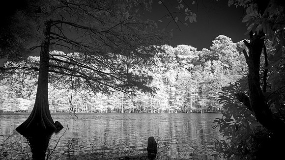 MartinDiesSP 0025_openWith-Enhanced-SR-1 copy