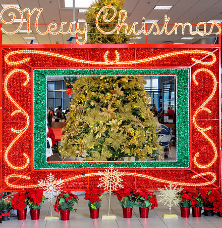 GulloChristmas 0127