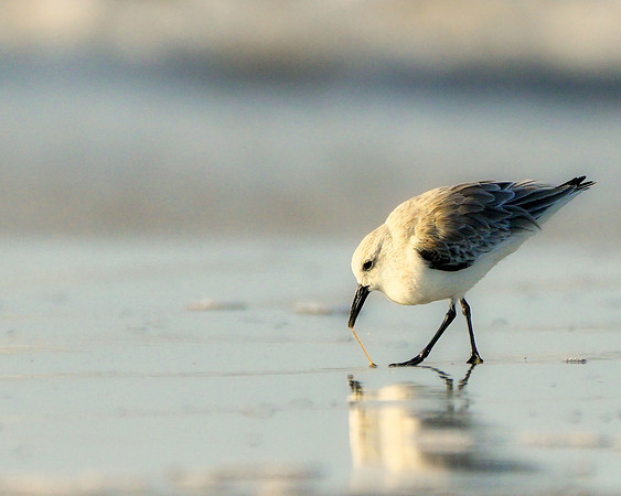 Breakfast on the beach