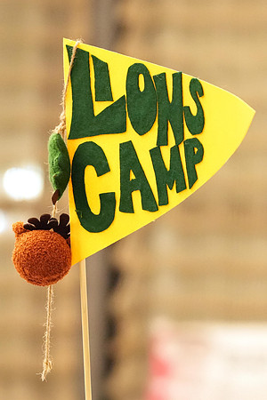 Lion2s2 MidW 00353