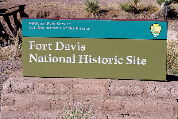 FT Davis0310