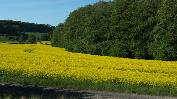 German Countryside 2