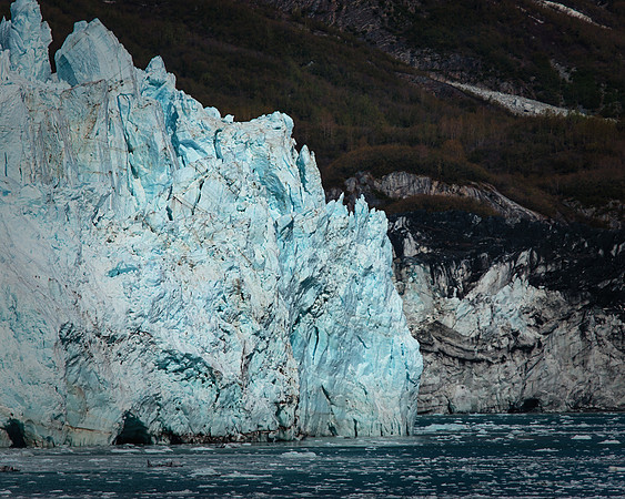 Ice Rocks and Trees