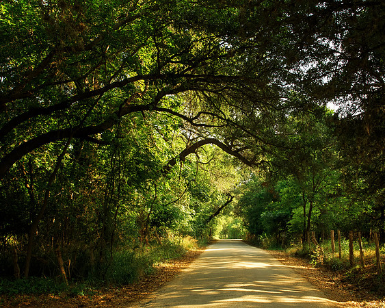 Tejas Trail