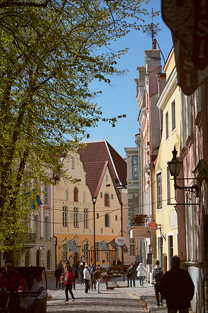 Street