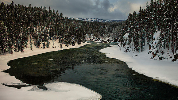 Yellowstone River