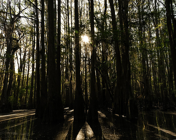 Caddo27Apr 0326