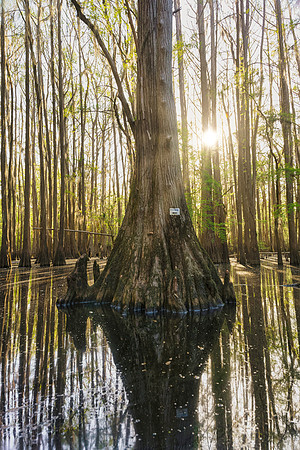 Caddo27Apr 0341
