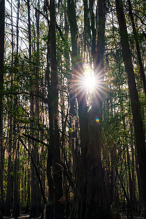 Caddo27Apr 0307