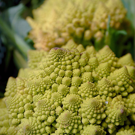 VegMarket