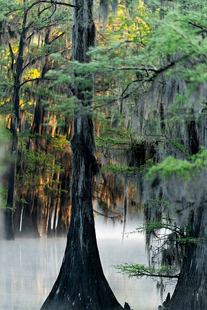Caddo26Apr 0060