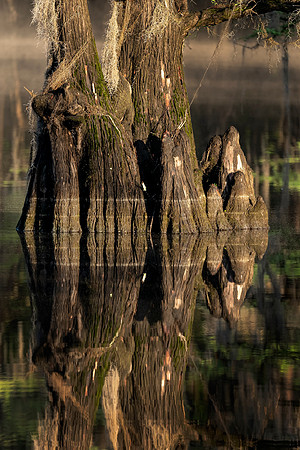 Caddo26Apr 0172