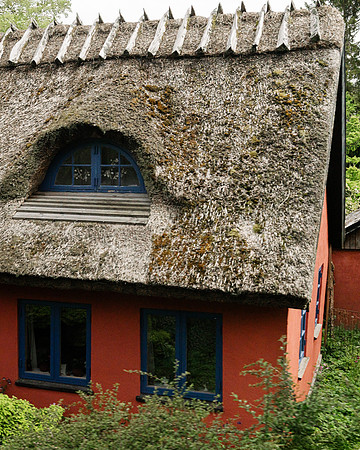 Thatched Roof 2