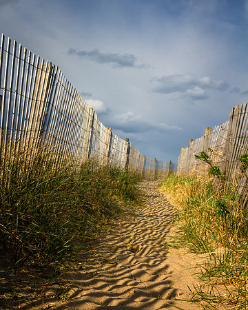 The Path