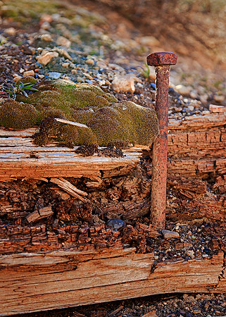 Iron and Wood